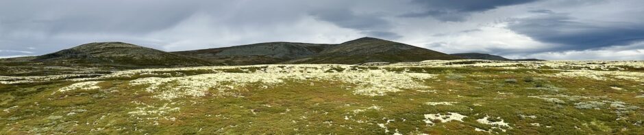 Rondane