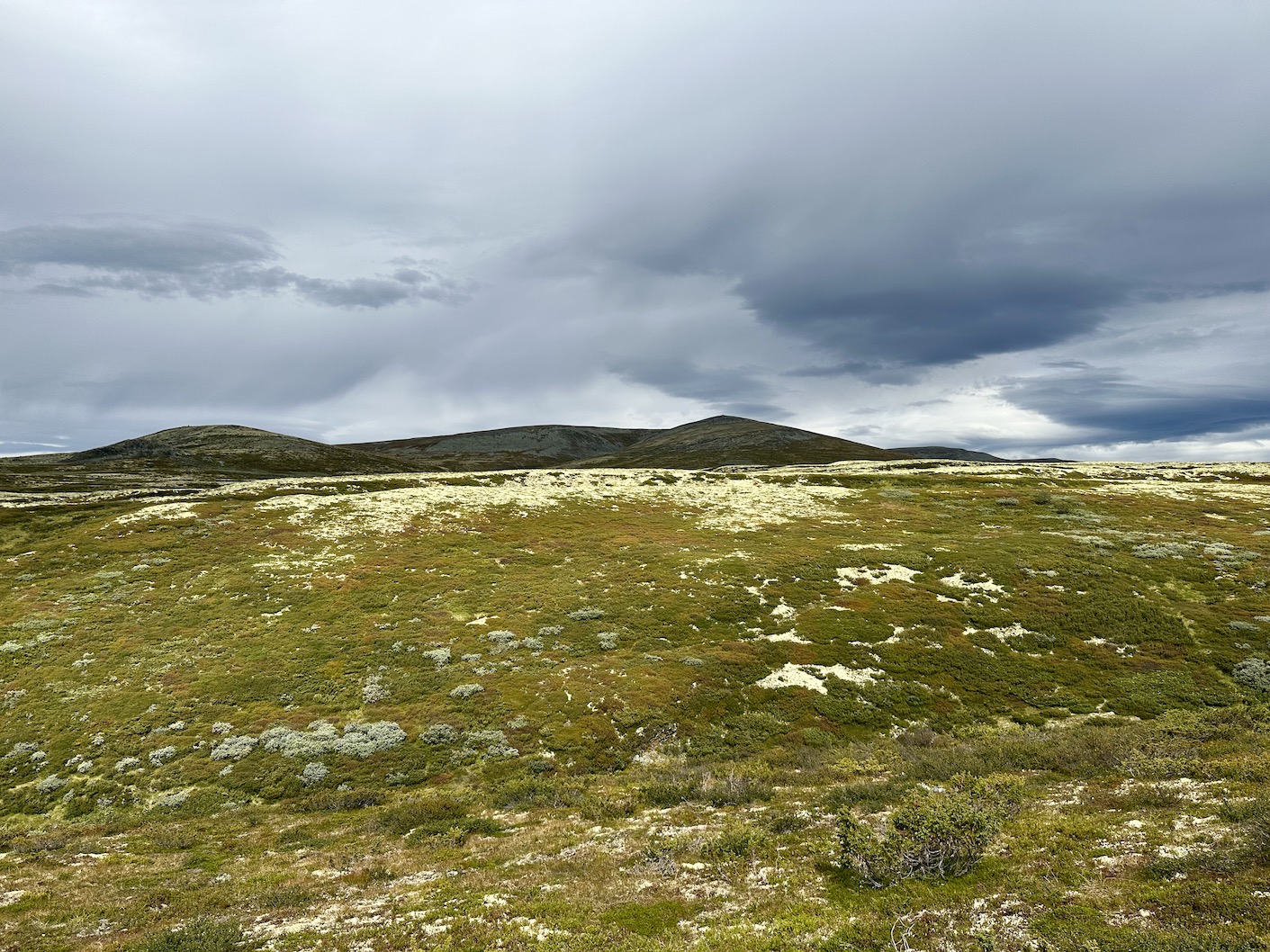 Rondane